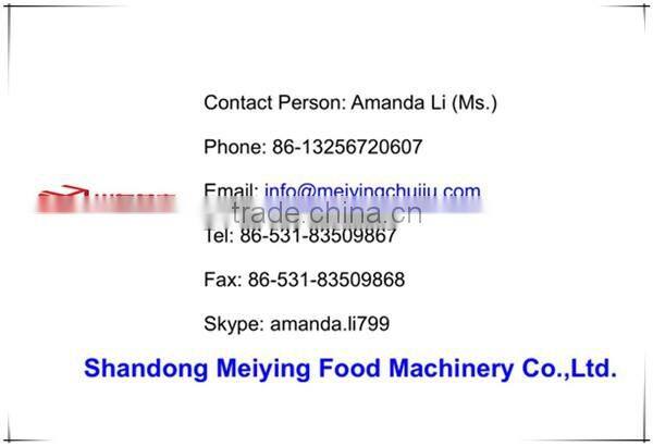 MRW300 Fish Ball Maker