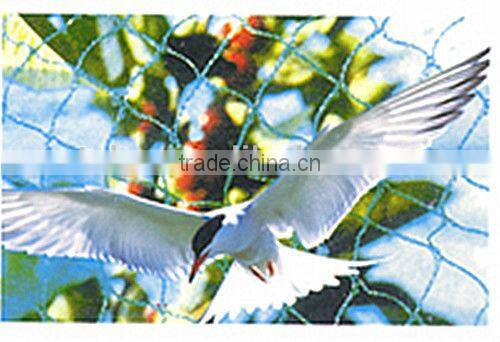 High quality agriculture shade anti bird netting