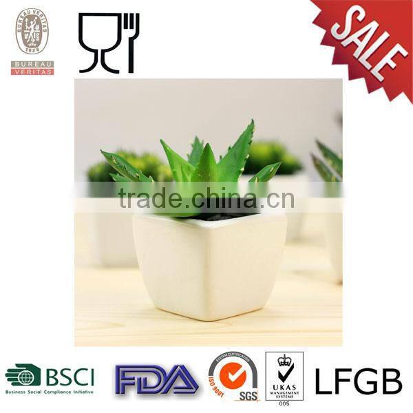 Plastic Square Flower Pot with blue color