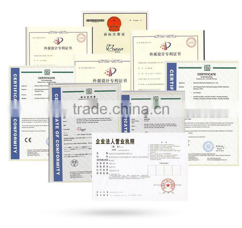 R1917H Single motor Pet dryer pet hair dryer machine pet blower