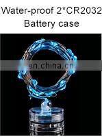 Products 10M 100 LEDs Remote Controlled Led String Lights