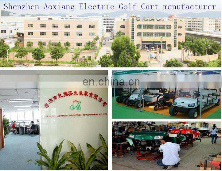 USA market mini custom electric golf buggy