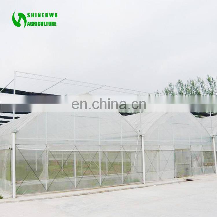 2017 Hot Selling Greenhouse Farm For Sale