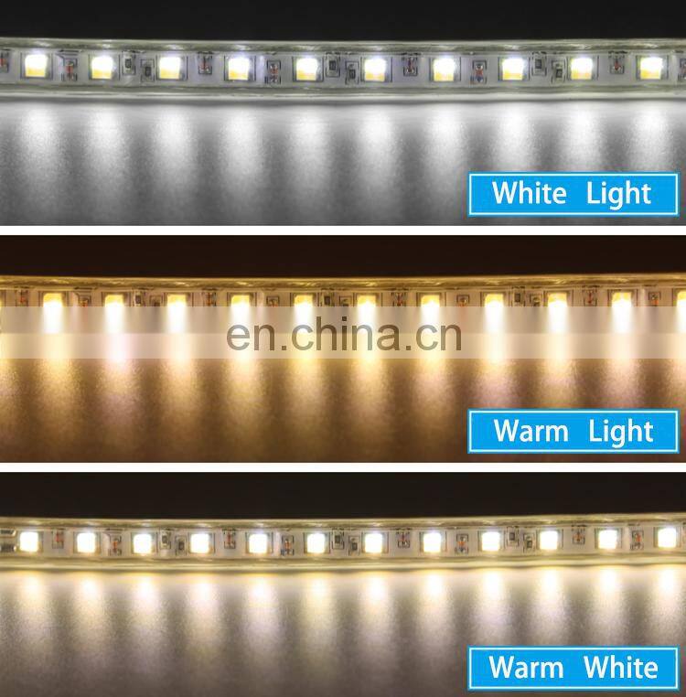 One-stop DC 12V 24V SMD 5050 RGB led light strip