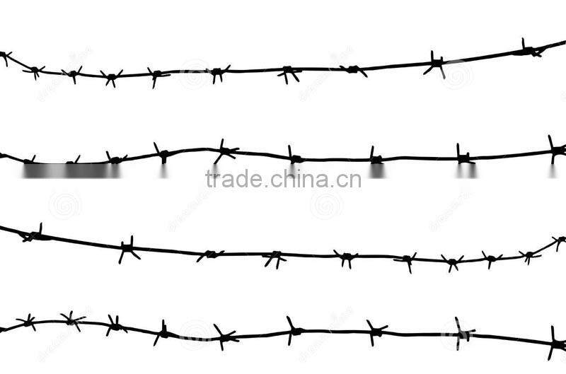 safety reliable quality hot dipped galvanized barbed wire