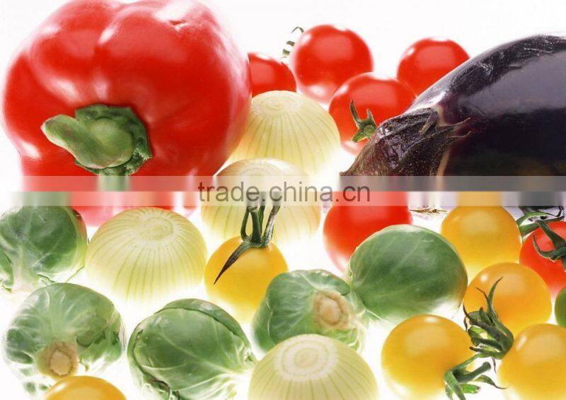 High Quality Dakin Reefer Container Price 40ft Refrigerator Container