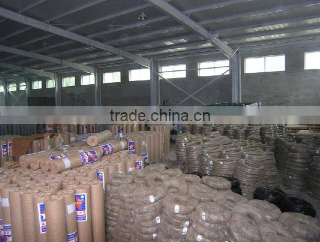 Wire Mesh Security Fence/358 Security Fence/Anti-Climb Fence