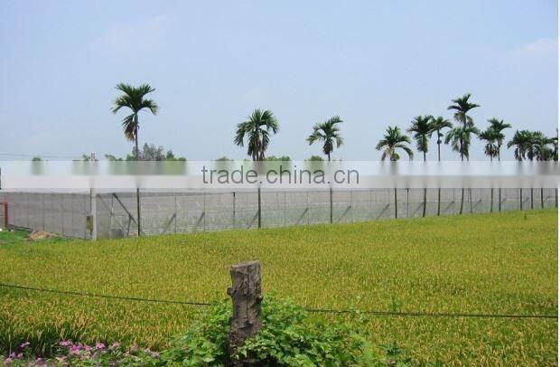 HDPE Agricultural Greenhouse virgin material with 5% UV Anti insect net with uv treatment
