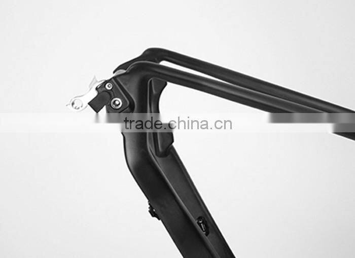 No Foldable OEM Logo Customized Paint carbon fiber super light carbon frame 29er