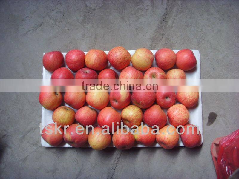 fruits and vegetables apple fuji