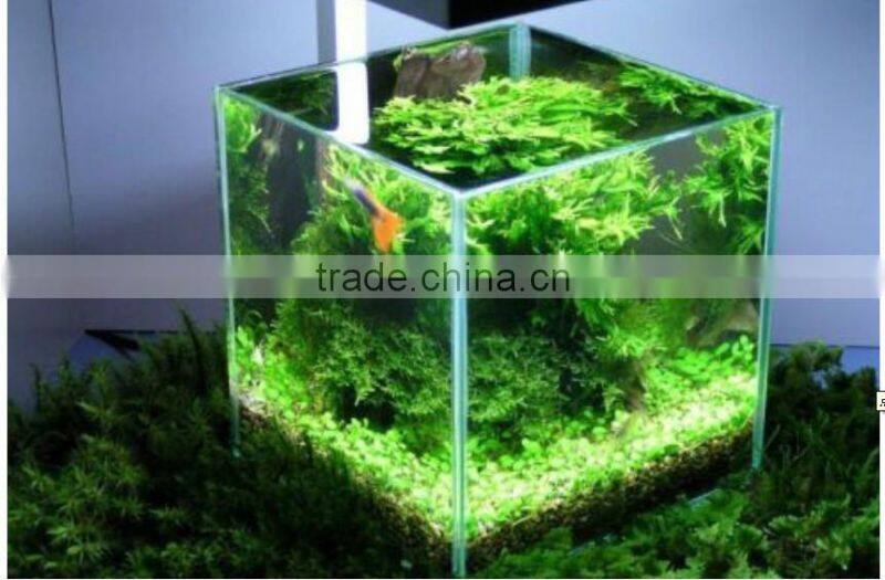 Small fish tank Desktop Aquarium