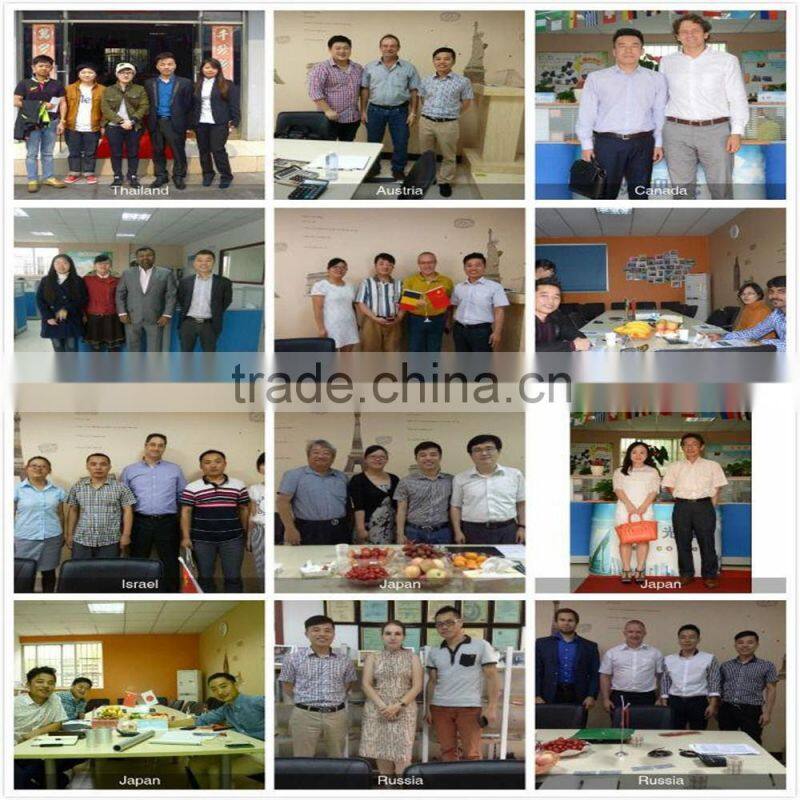 1050 1100 H112 H14 H24 Aluminum Alloy Coil Sheet