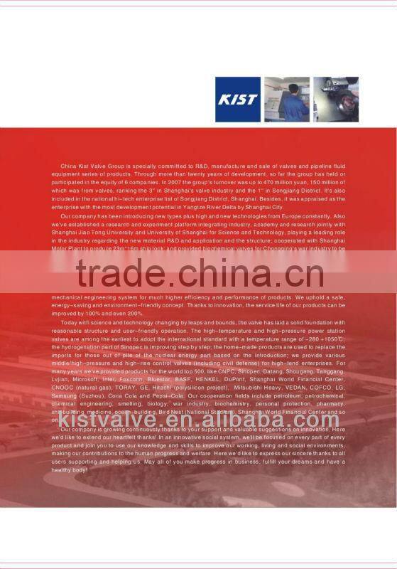 Buy SS304 Check Valve Valve