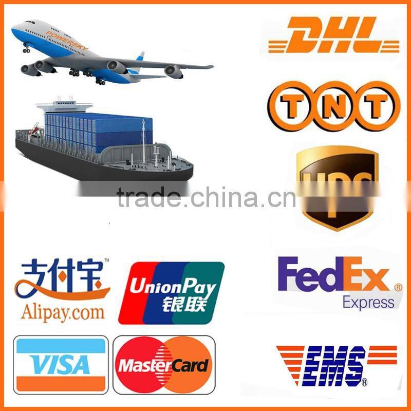 SDS PLUS Point and Flat Chisel for concrete and stone,sds point chisel