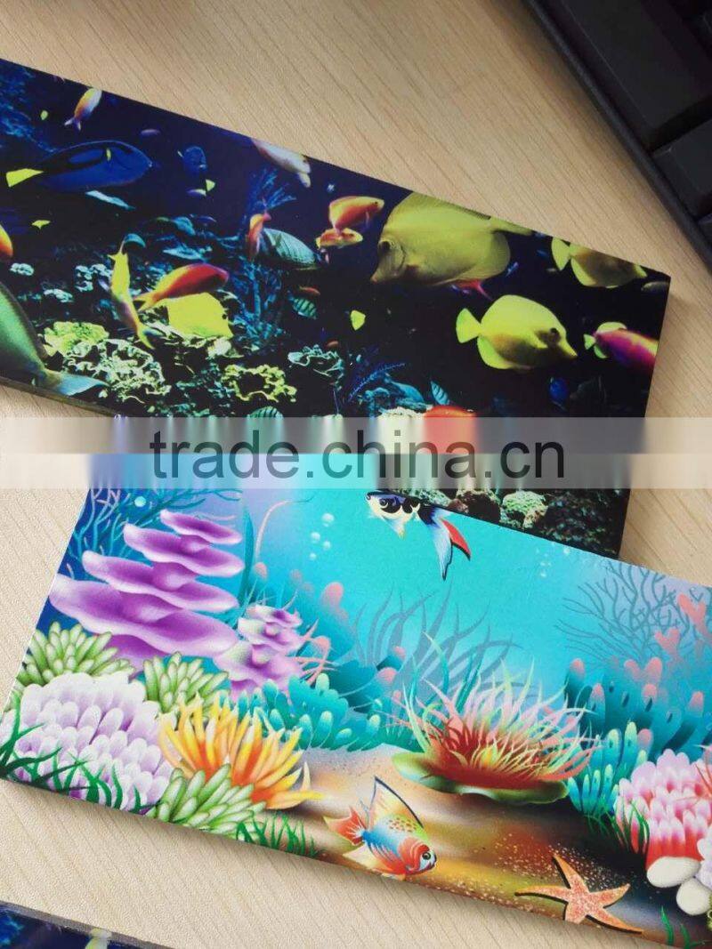shenzhen bestdasin A0 9880C 118cmX250cm 8 colors CMYK WWWW Bottom price best Choice glass uv flatbed printer