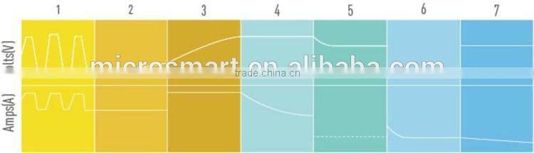 new design with good price 12v car battery chargers on hot sale