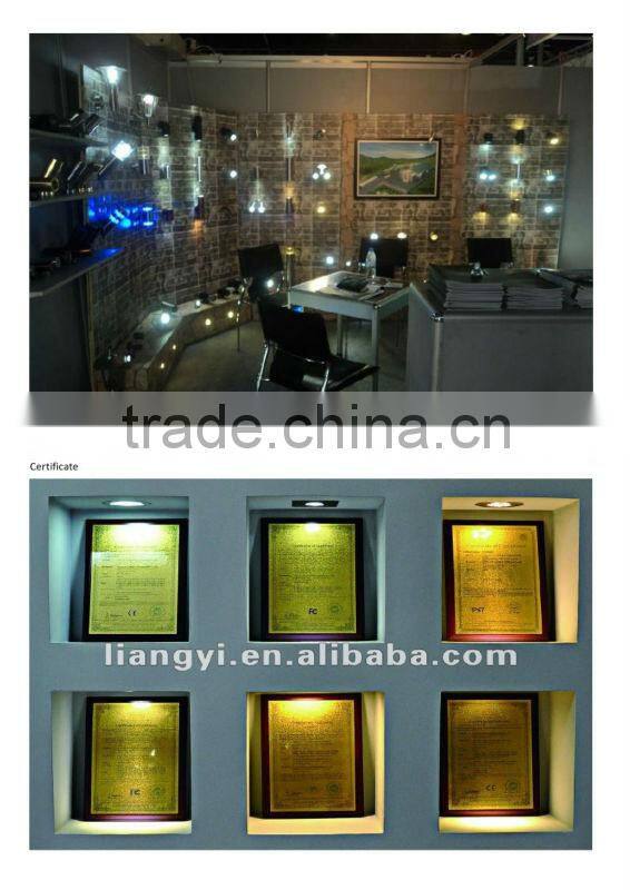 stainless steel IP68 CE ROHS led lawn garden light