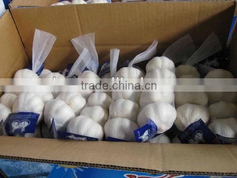 shandong new garlic price of sale
