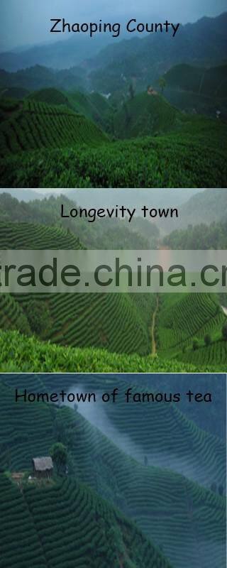 Yijian Organic Green Tea certified by China,EU, U.S,Japan