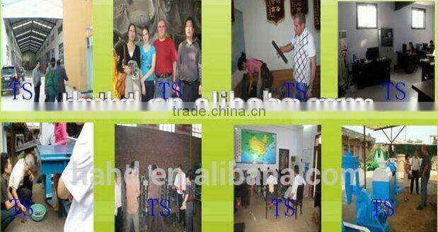 Factory Small tablet press / charcoal tablet press machine