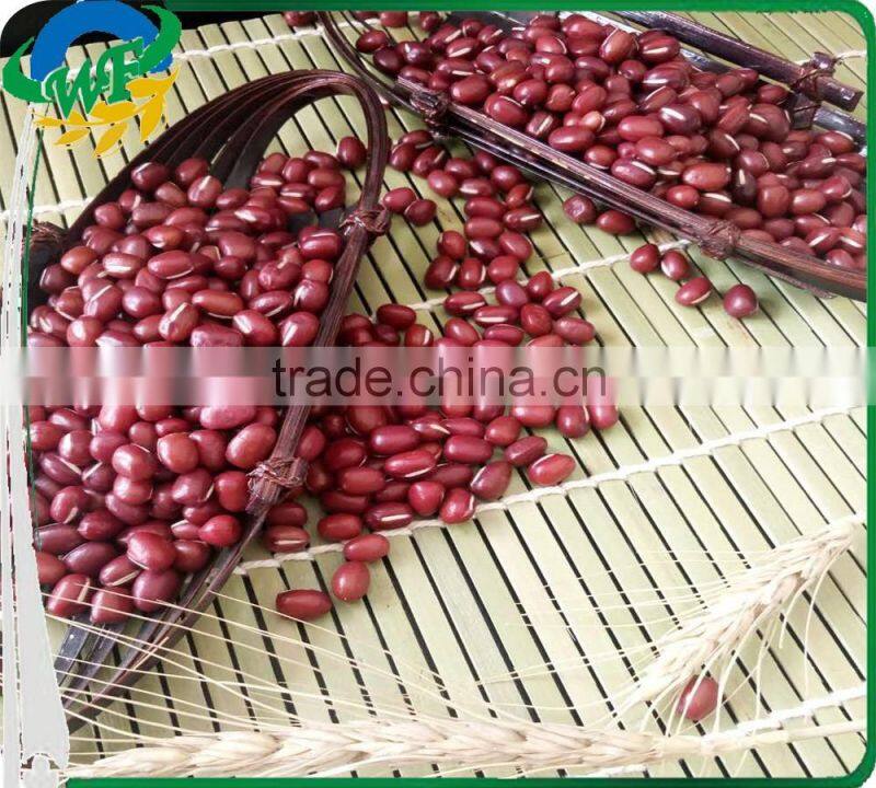 China New crop red adzuki bean