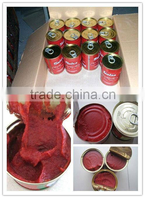 Canned Tomato Paste in Can