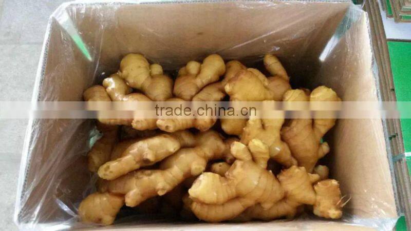 china dry ginger export to many countries