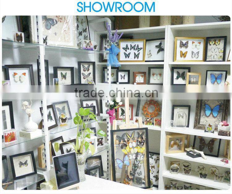 FOUSEN(011) Nature& Art natural real dried butterfly unique table frame