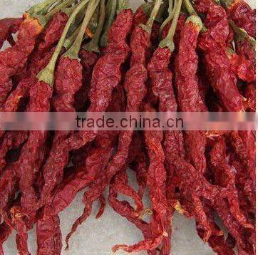 dried chilli