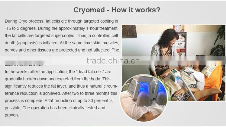 2 handles cryolipolysis machine criolipolisis fat freezing antifreeze membrane