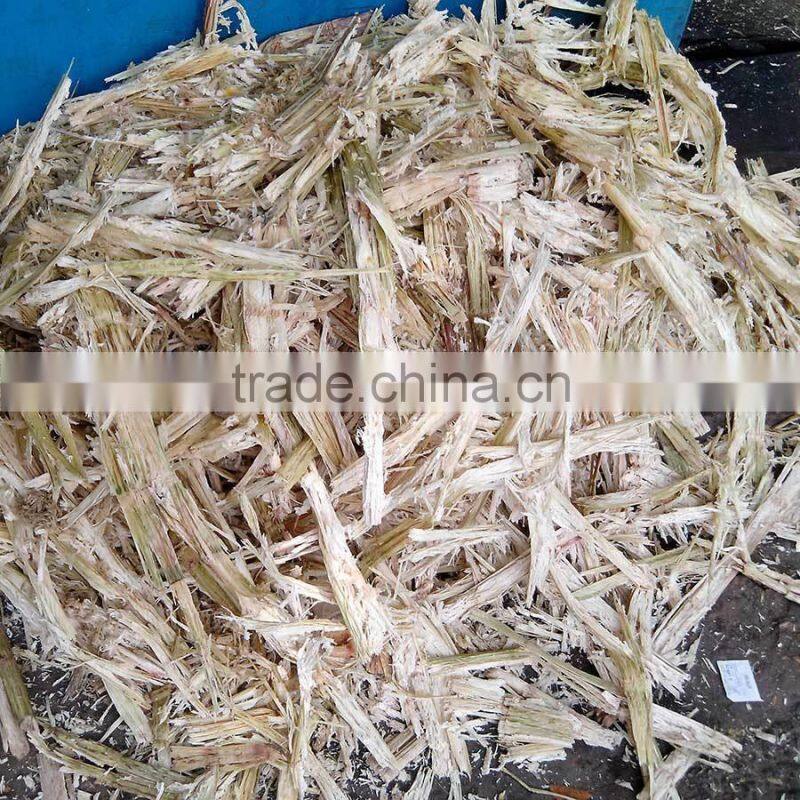 Sugarcane bagasse For Animal Feed competitive price from Vietnam