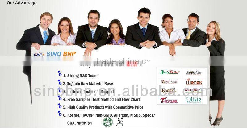China BNP Manufacture Superior Natural Stevia Leaf Water Extract