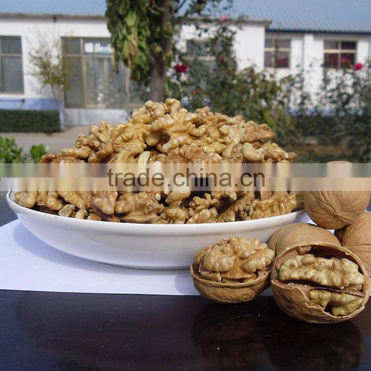 Fresh chinese small walnuts for sale