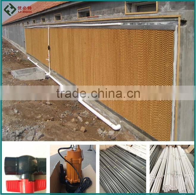 Chicken poultry farm equipment