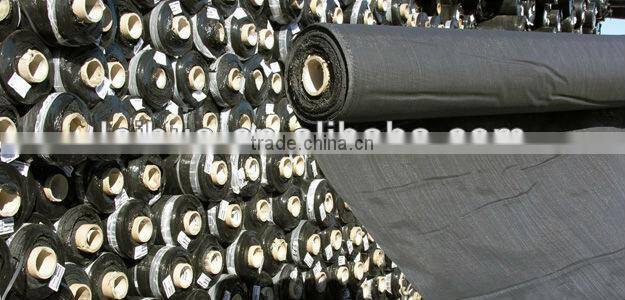 Woven Geotextiles/China pp woven geotextile supplier/factory