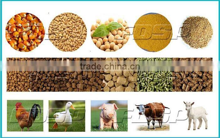 2-4t/h livestock cow feed pellet production line changzhou machine