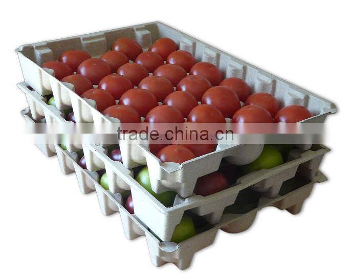 Best price automatic egg tray manufacturing machine