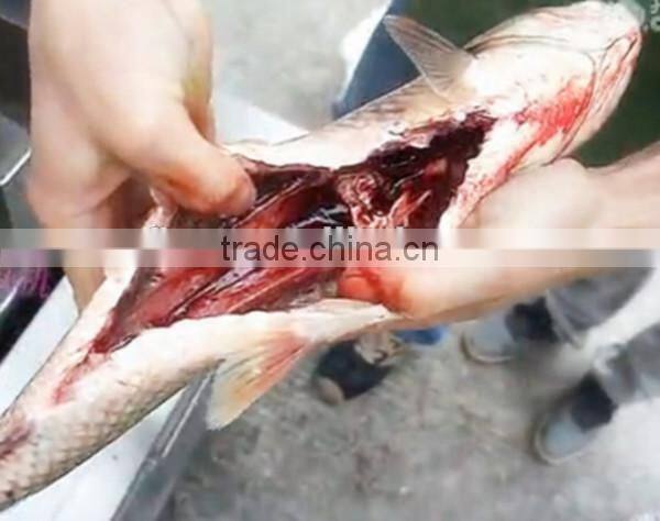 factory price fish gutting machine