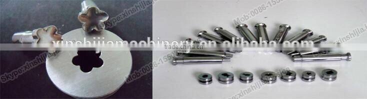 Oversea service with GMP standard rotary tablet press