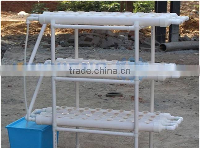 Vertical Hydroponic Shelf