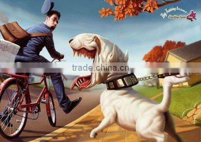 colorful dog and cat collars,