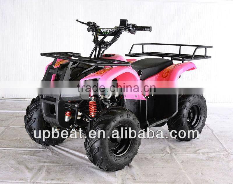 NEW DIRT AUTO QUAD BIKE ATV BUGGY 110cc PEEWEE CYCLONE