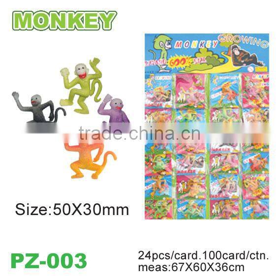 New and Special Growing Vegetables and Fruits