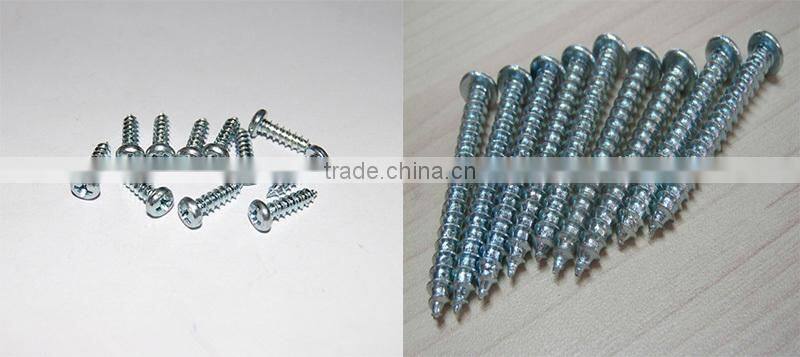Din7981 pan head self tapping screw tapping made in China