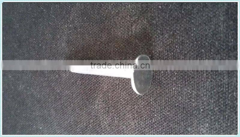 coil roofing,factory direct sale nails