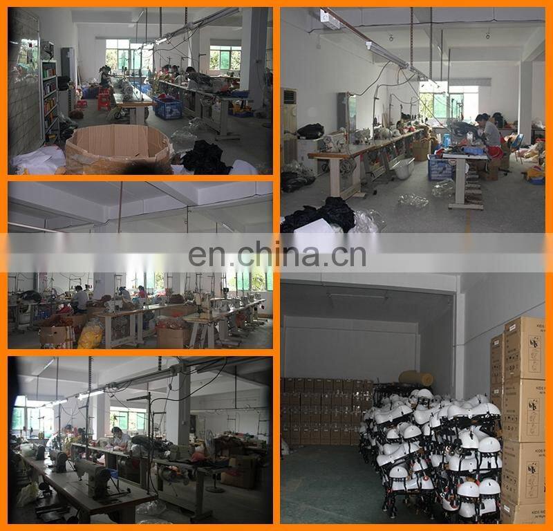 2017Hot special design lion/tager mechanical walking horse for children