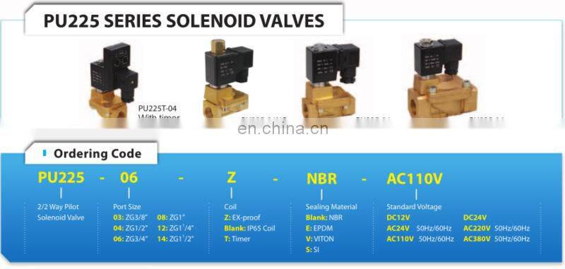 solenoid valve high pressure / PU225 Series Brass 2way Solenoid Valve With Timer /24 volt electric water superior solenoid valve