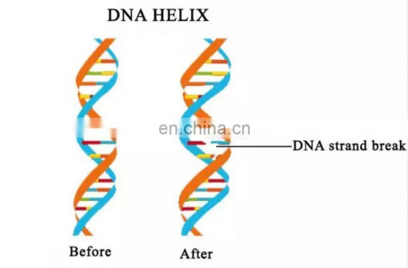 UV Sterilizer UVC Led Handheld Light Phone Sanitizer Box Disinfection Lamp Portable 254nm UV Leds UVC Sterilizer