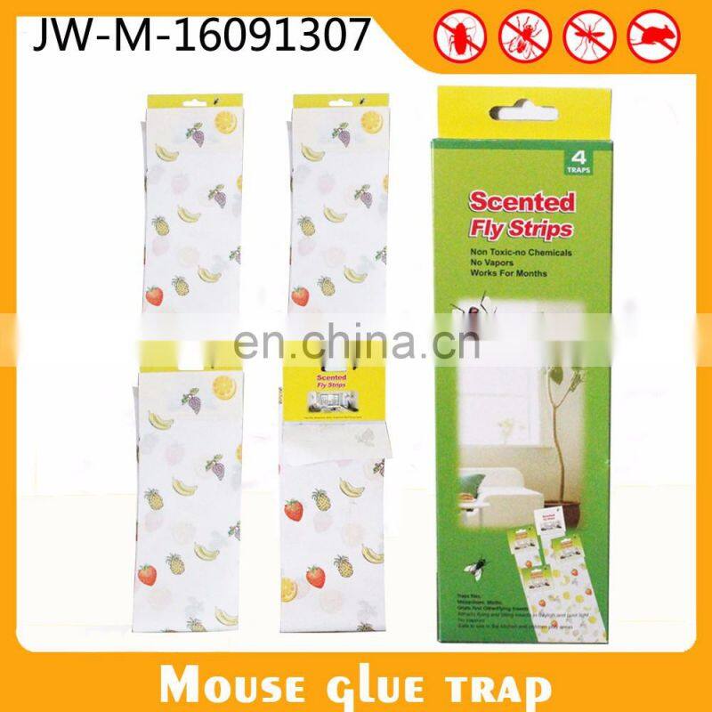 Pest Control Equipment Window Sticker Fruit Fly Glue Traps