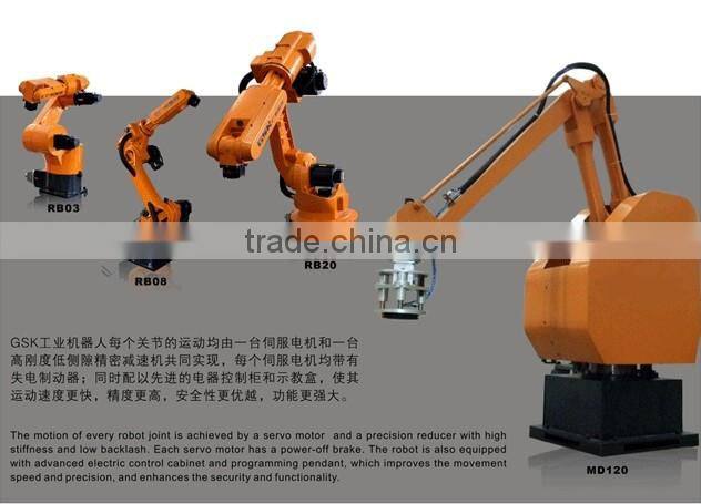 MD200 palletizer robot arm